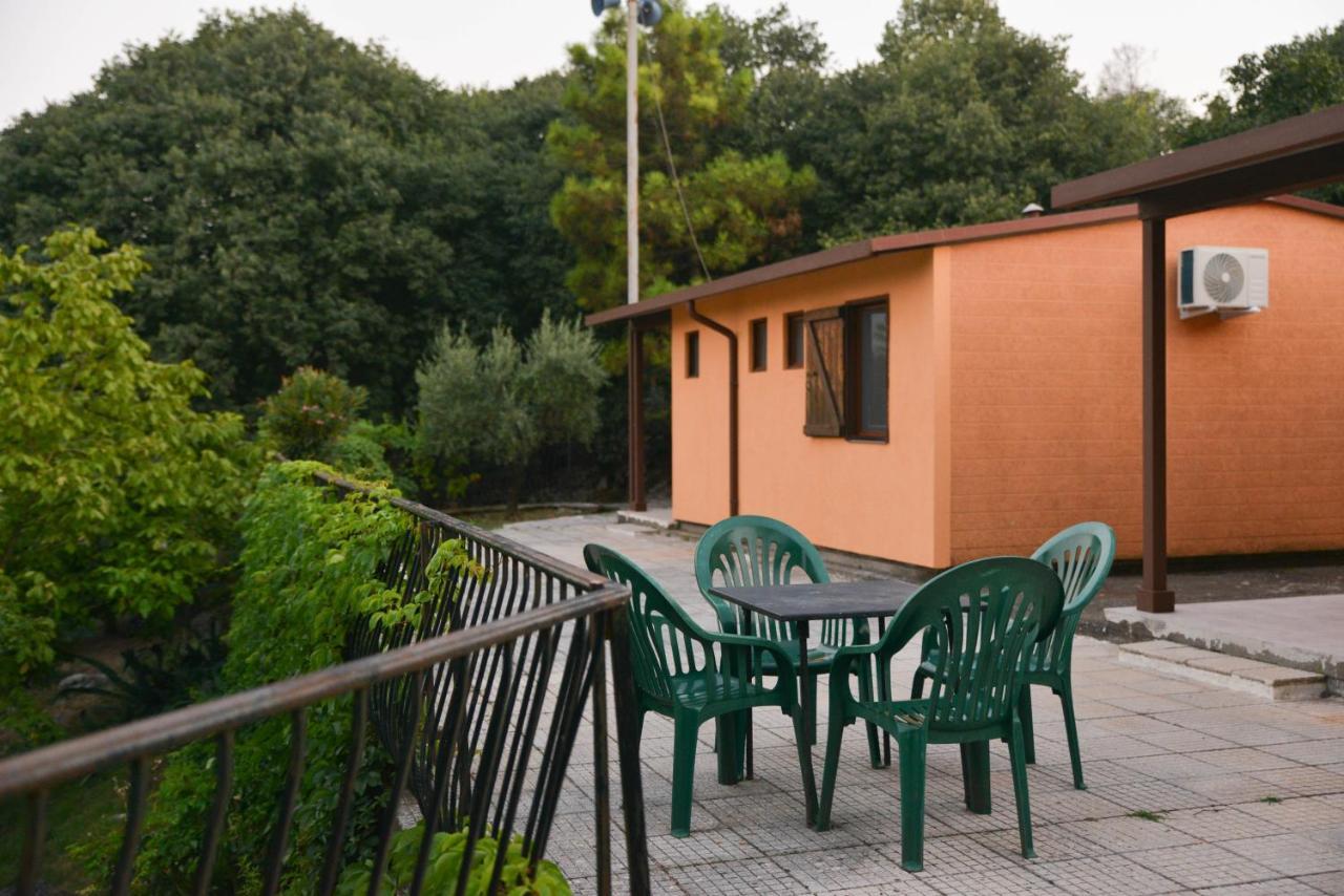 Village Of Peace - House 39 Shkodër 外观 照片